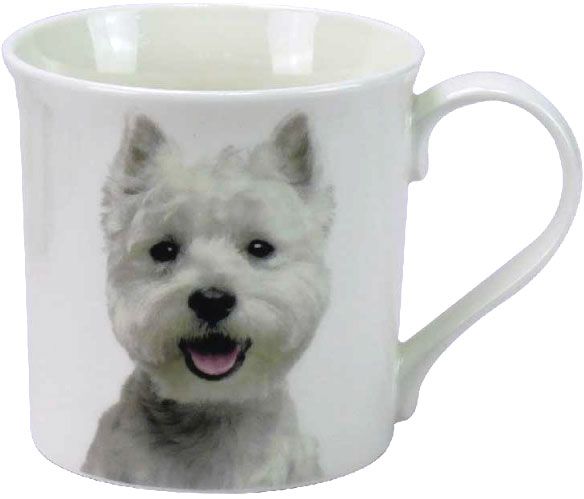 Becher West Highland White Terrier, Portrait