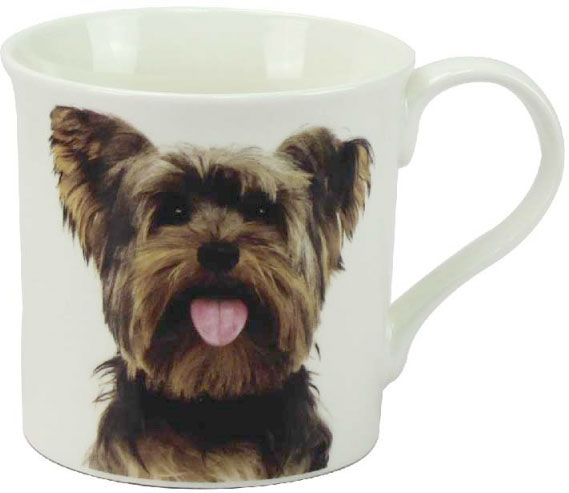 Becher Yorkshire Terrier, Portrait